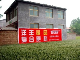 黄冈如何让墙体广告展现最大化效果